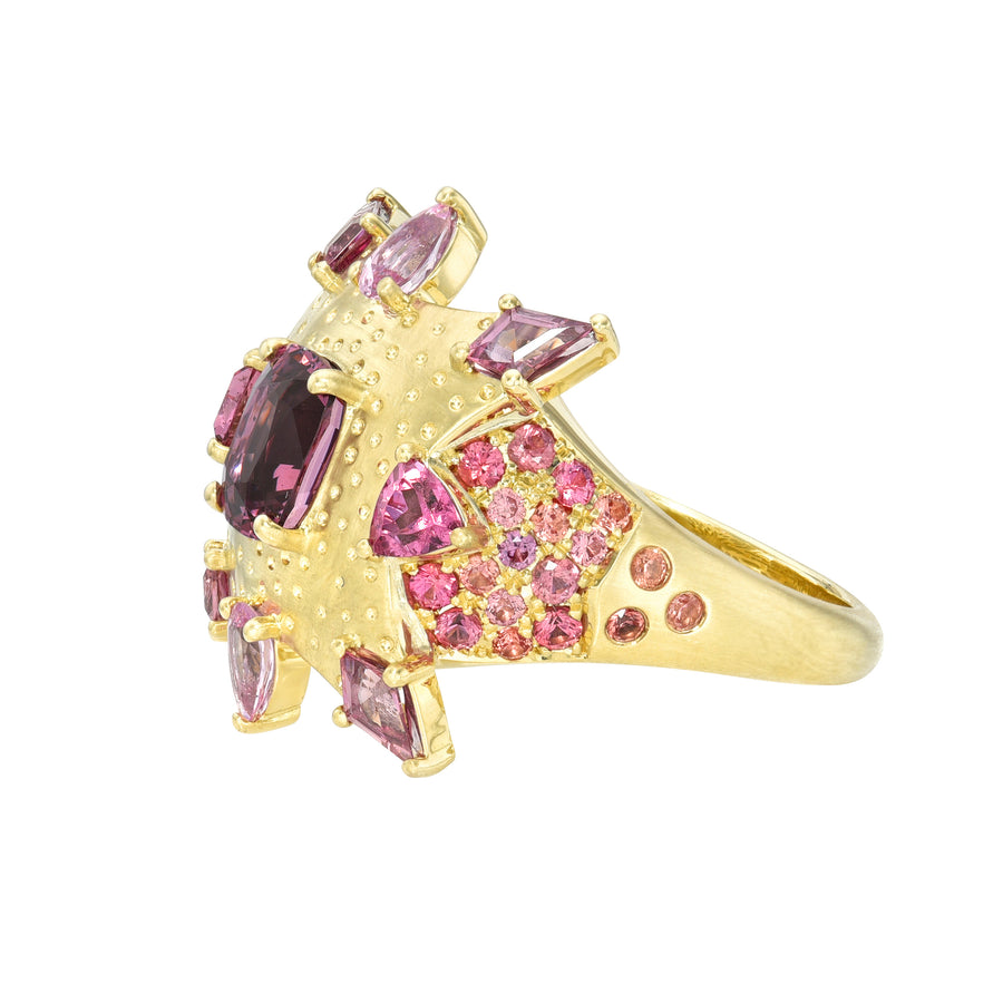 Pink Supernova Explosion Ring